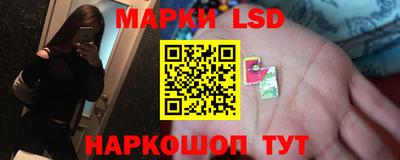 мяу мяу мука Краснознаменск