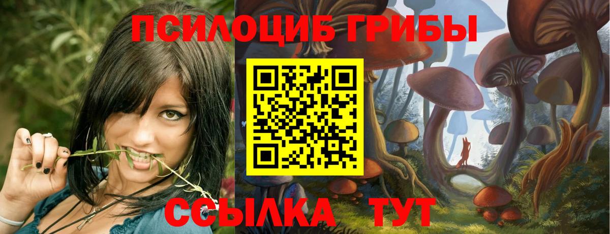 купить наркотик  Вход с VPN  Галлюциногенные грибы мицелий  Кировск  Галлюциногенные грибы Psilocybine cubensis 