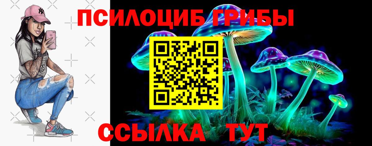 Галлюциногенные грибы прущие грибы Кировск